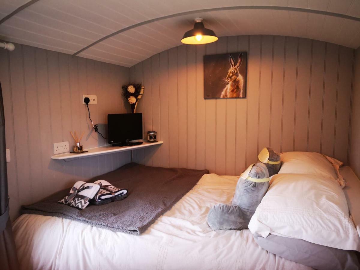 Pen-Rhos Luxury Glamping "Cuckoo'S Nest" Villa Llandrindod Wells Exterior photo